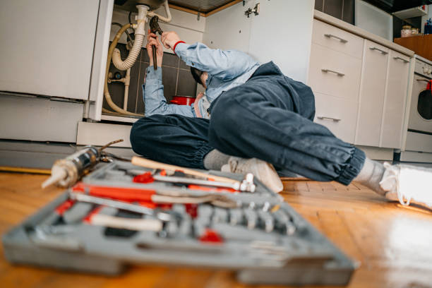 Best Pipe Repair Near Me  in Shelbyvle, IL