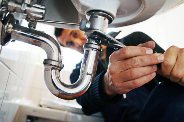 Best Clogged Drain Plumber  in Shelbyvle, IL