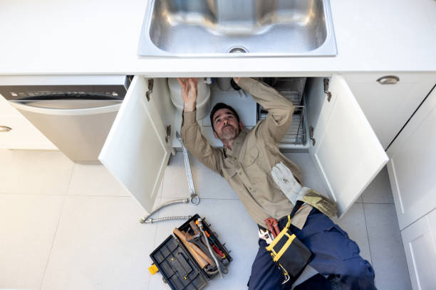 Best Septic Systems  in Shelbyvle, IL