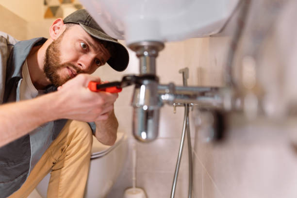 Best Plumbing Inspection Services  in Shelbyvle, IL