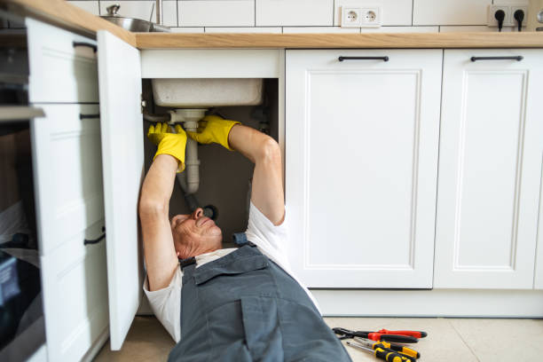 Best Plumbing Repair Near Me  in Shelbyvle, IL