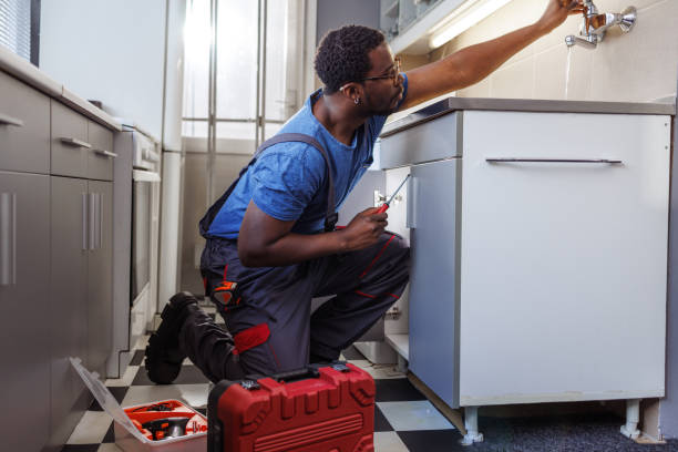 Best Shower Repair Services  in Shelbyvle, IL