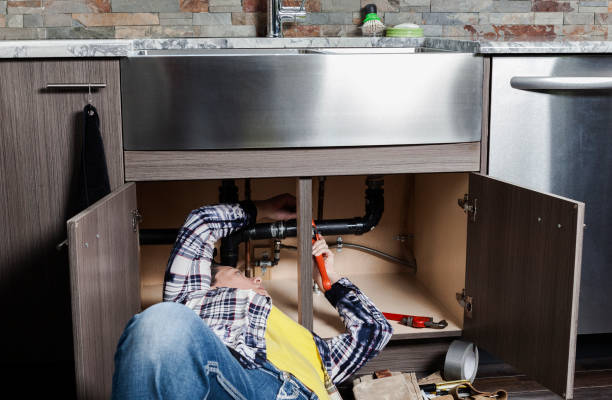 Best Residential Plumbing Services  in Shelbyvle, IL