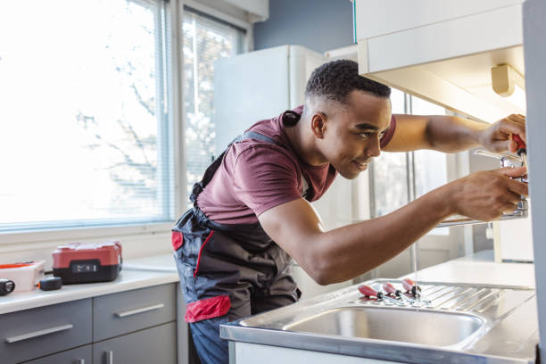 Best Best Plumbers Near Me  in Shelbyvle, IL